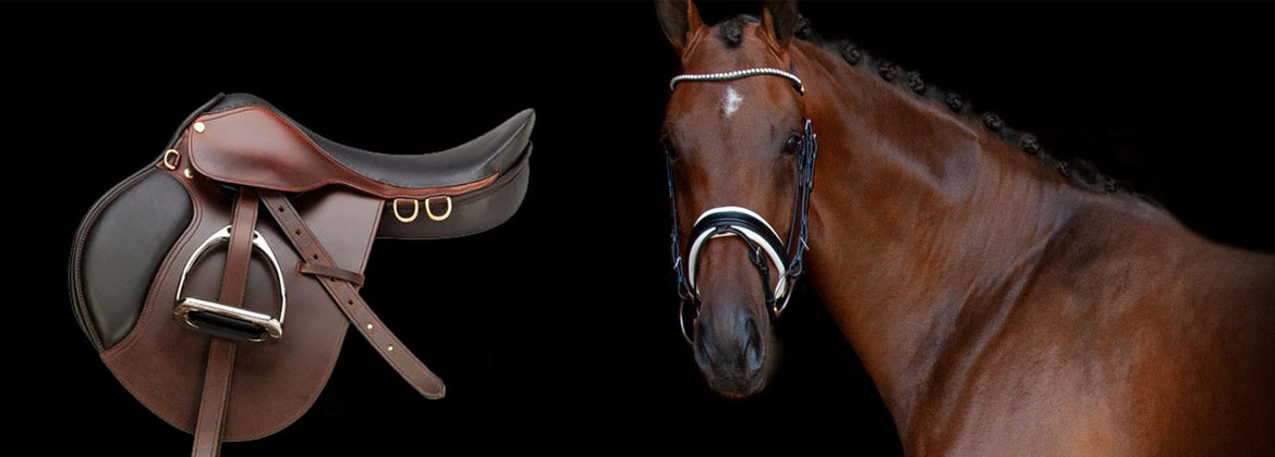 Saddlery Horse Saddles and Wear